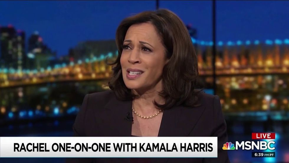 According to the new NBC/WSJ poll, only 9% of Democratic voters have definitely decided who they will vote for.  Here is your chance to watch 2 extraordinary candidates. I promise they will make you proud. @KamalaHarris @Ewarren #BlueWave2020 https://t.co/vOMEeCXDSR