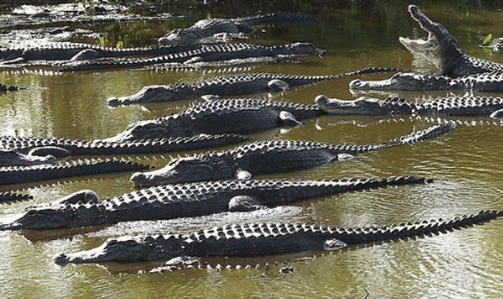 Shoot Migrants’ Legs, Build Alligator Moat Behind Trump’s Ideas for
